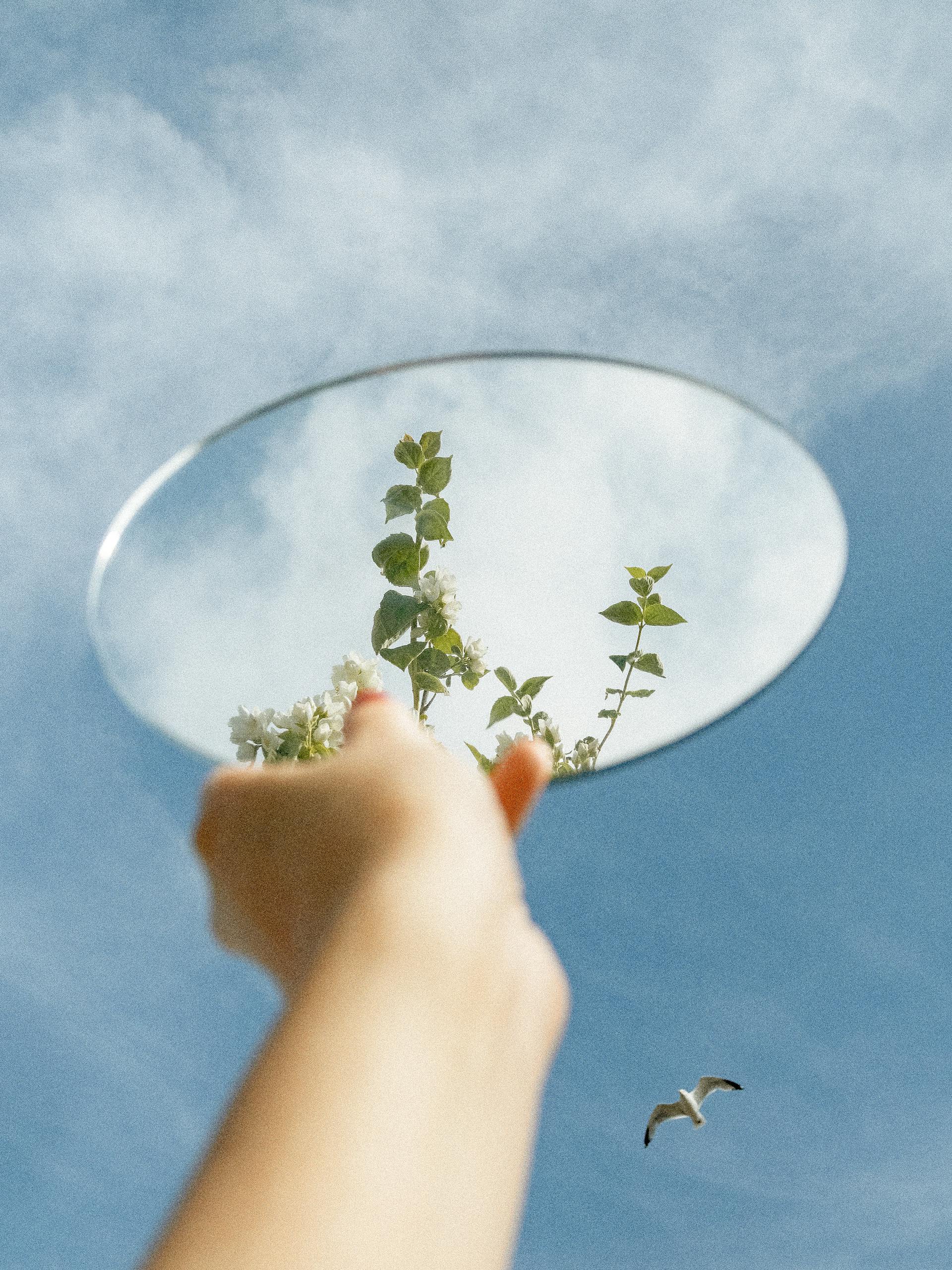 Hand holding a mirror reflecting sky and leaves, showcasing creativity and nature.