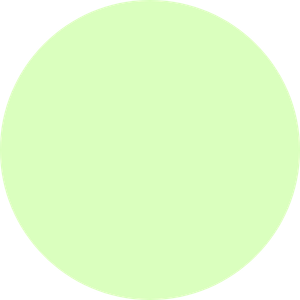flower transparent 6